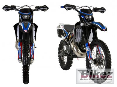 2009 gas gas ec 300 racing photo